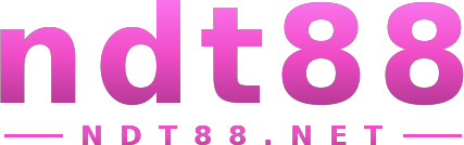 ndt88 logo